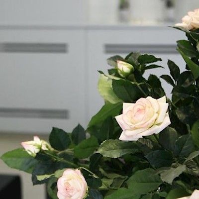 Hotel De Nemours Paris